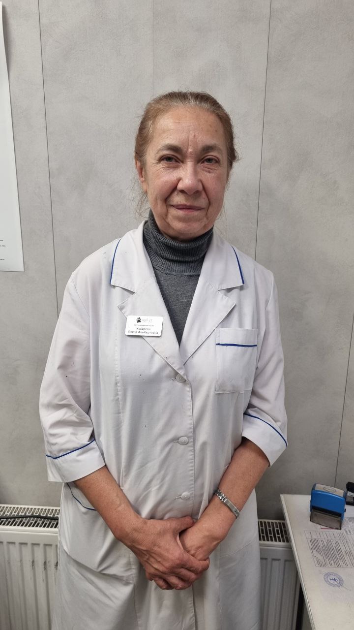 Кесарева Елена Альбертовна